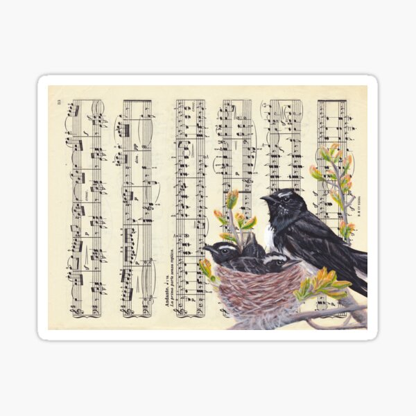 Willie Wagtails Sticker