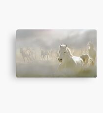 Horses Run 2 Canvas Print