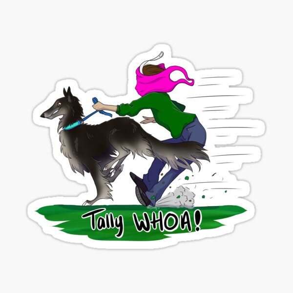 Tally WHOA! - Black and Silver Sticker