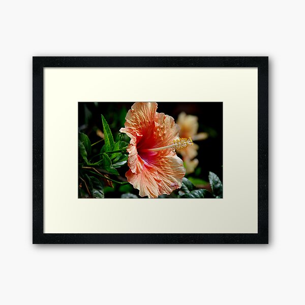 Item preview, Typical Flower designed and sold by Daidalos.