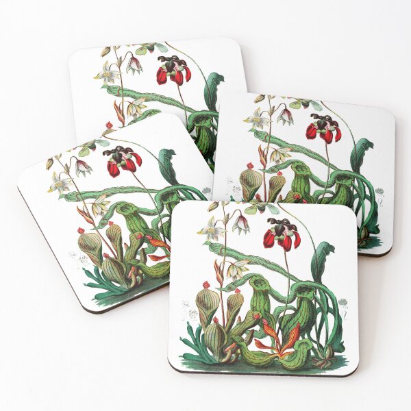 Item preview, Carnivorous Plants  Vintage Sarracenia Botanical  designed and sold by bledi.