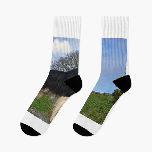 Item preview, Above with Laddie. designed and sold by Michael Haslam.