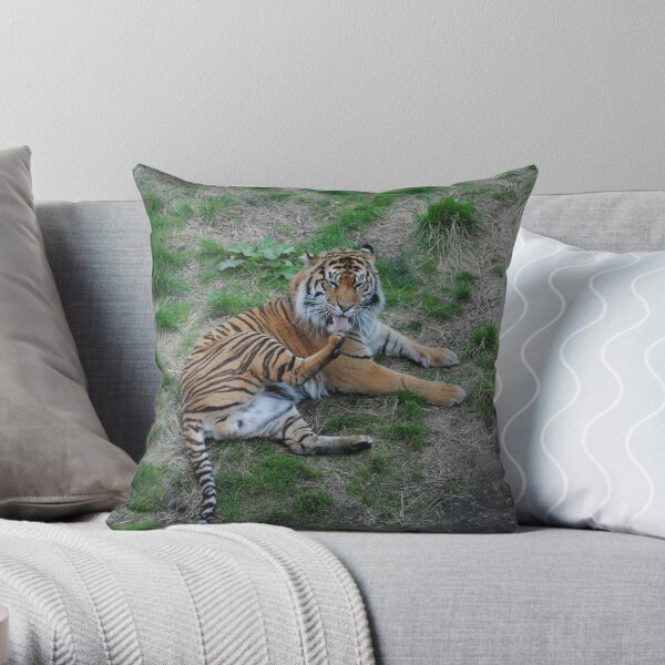 A Sumatran tiger Throw Pillow