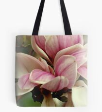 Crossing Over.... Tote Bag