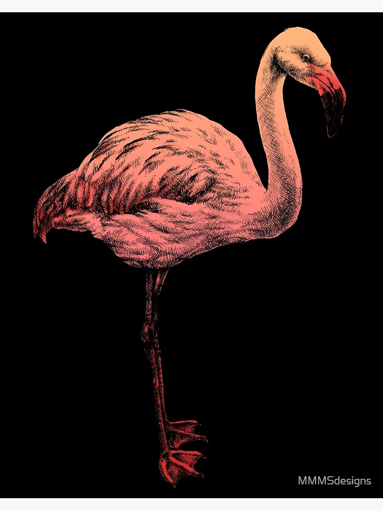 Flamingo Animal Portrait (dark background) | Poster