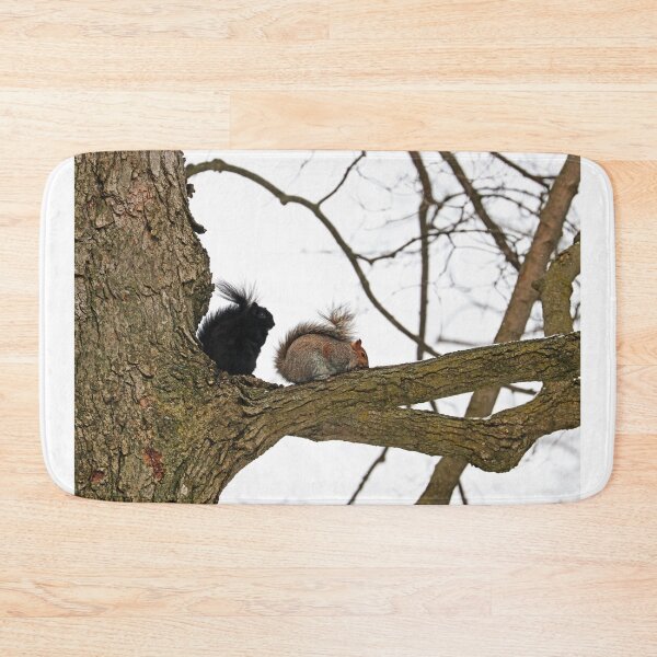 Item preview, Eastern Grey Squirrels designed and sold by Deb Oppermann.