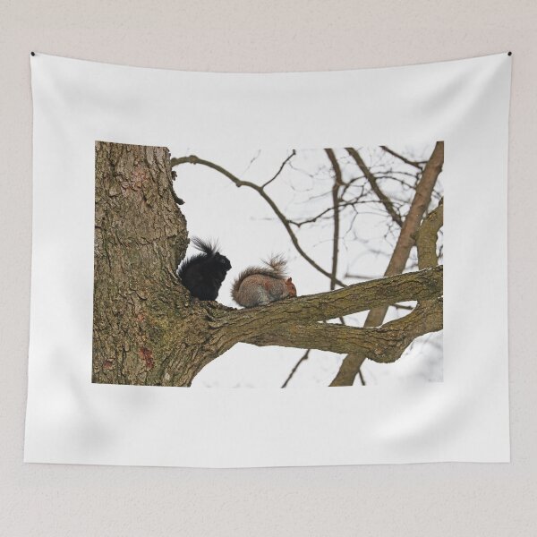 Item preview, Eastern Grey Squirrels designed and sold by Deb Oppermann.