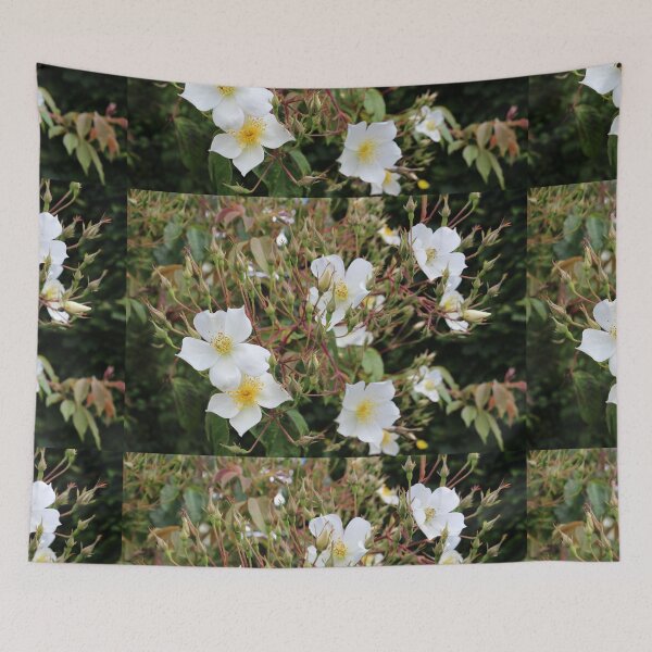 Item preview,  Common Medlar, Mespilus germanica, designed and sold by pinkal.