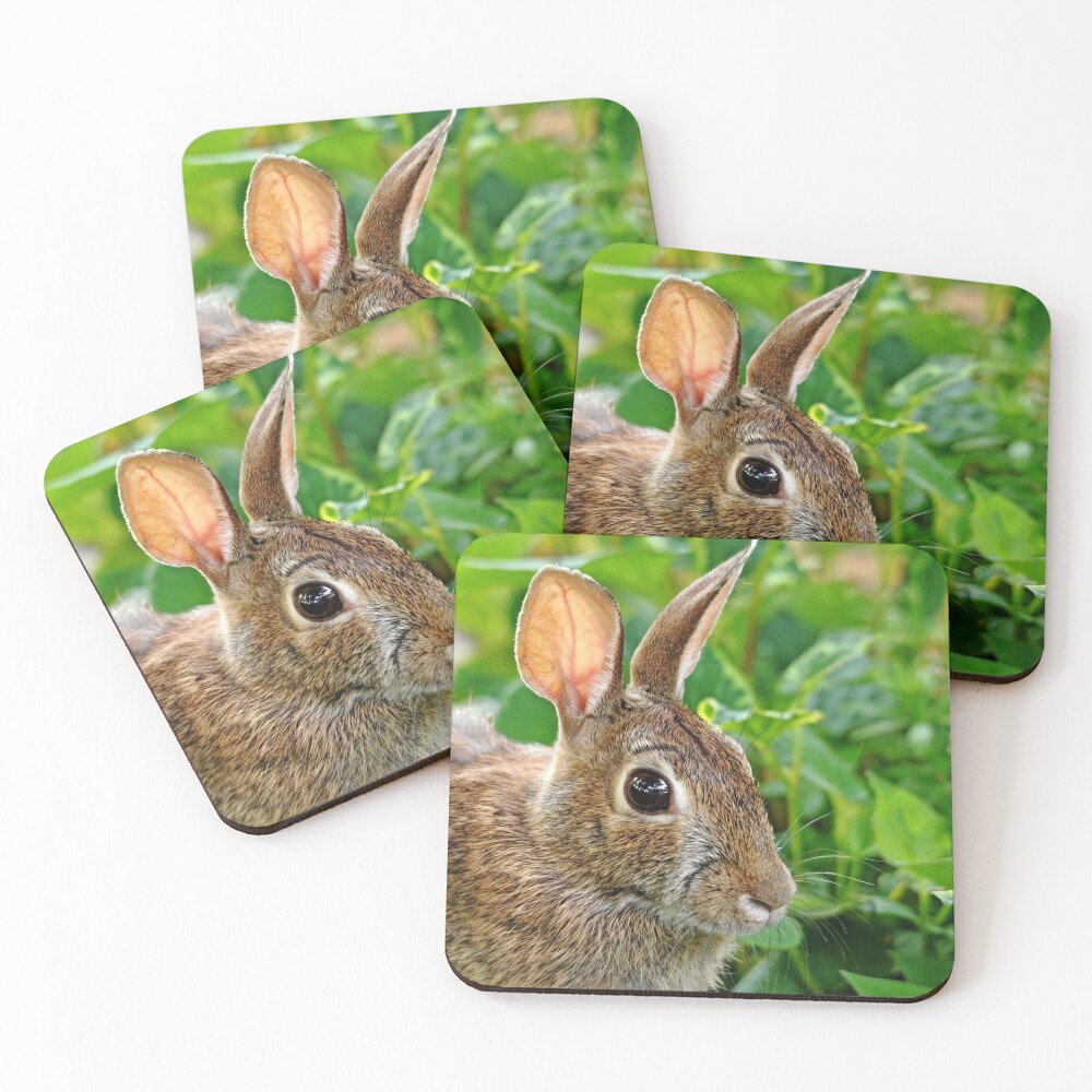 Item preview, Coasters (Set of 4) designed and sold by debop1.