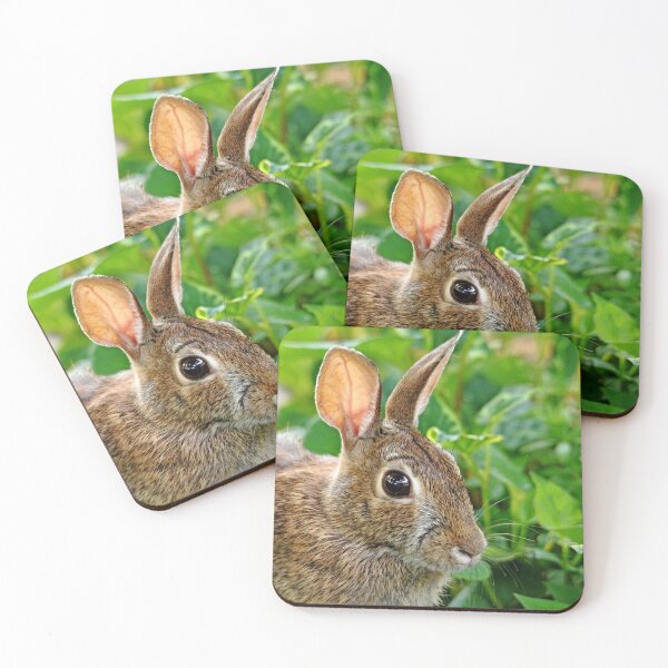 Item preview, Rabbit Ears designed and sold by Deb Oppermann.