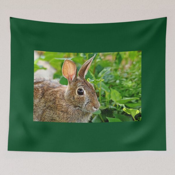 Item preview, Rabbit Ears designed and sold by Deb Oppermann.