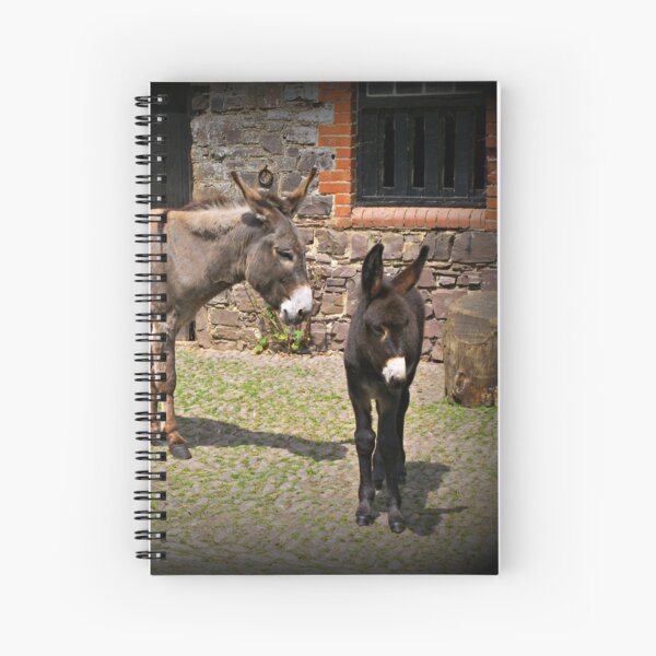 Item preview, Clovelly Donkeys designed and sold by ColinBoylett.