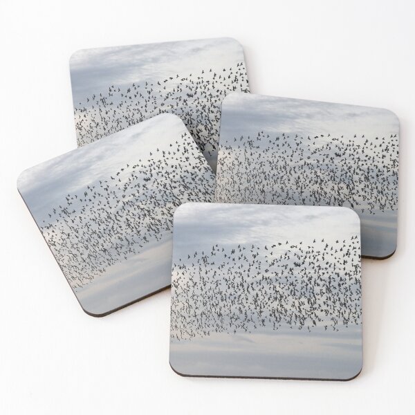 Item preview, A starling sky designed and sold by GreyFeatherPhot.