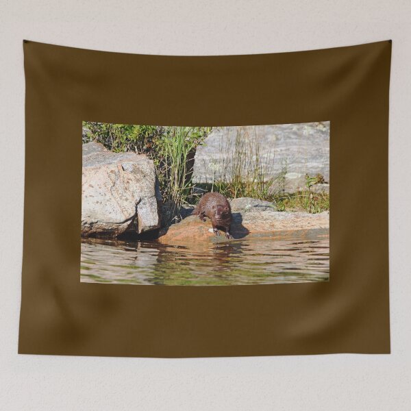 Item preview, Curiousity designed and sold by Deb Oppermann.
