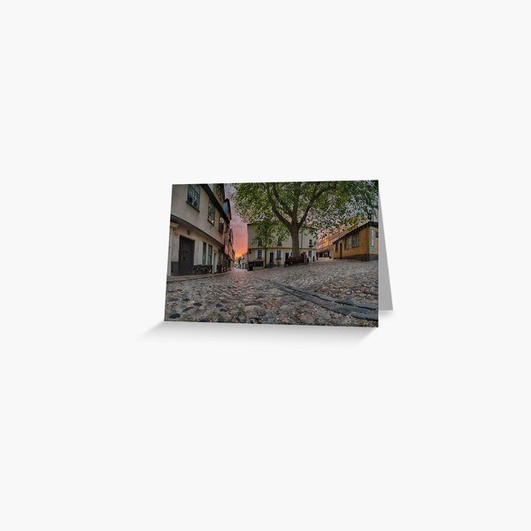 Elm Hill Dawn Greeting Card