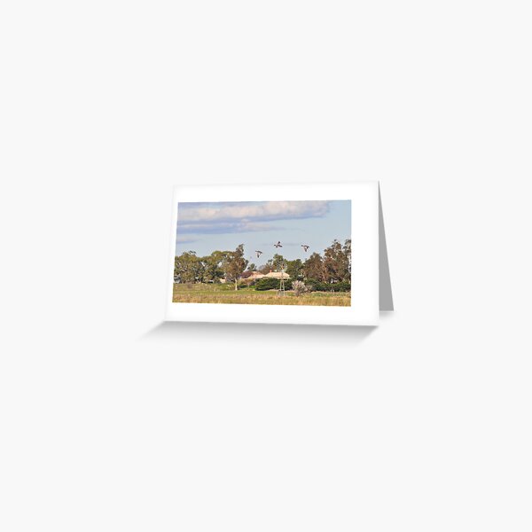 Ducks in Flight - Yan Yean Greeting Card