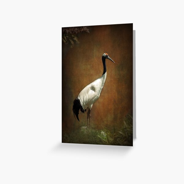 Bringer of luck - Japanese Crane Greeting Card