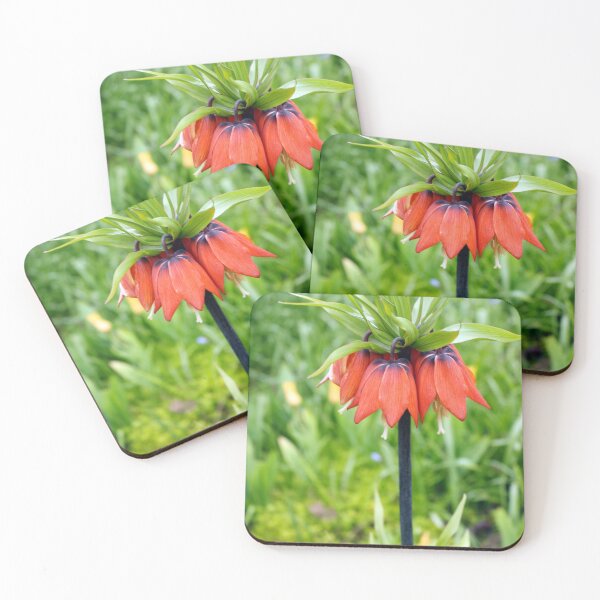 Item preview, Red imperial fritillary designed and sold by pinkal.