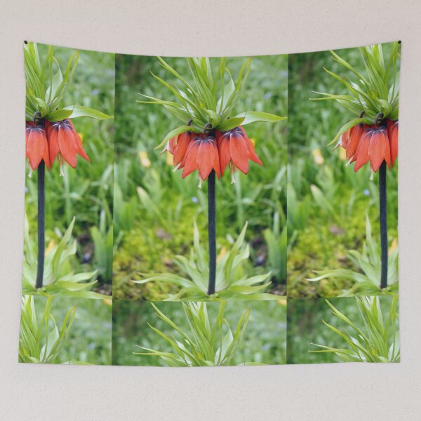Item preview, Red imperial fritillary designed and sold by pinkal.