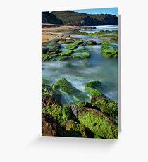 Turimetta Afternoon ND400 Greeting Card
