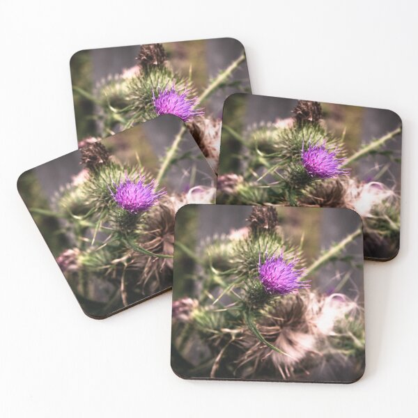Item preview, Thistle designed and sold by Olympia Ellinas.