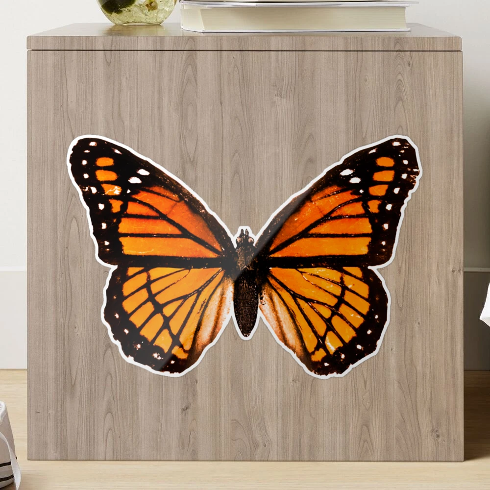 Eangee Butterfly Wall Decor Large Monarch Orange - #636G5