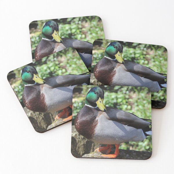 Item preview, Male Mallard Duck designed and sold by pinkal.