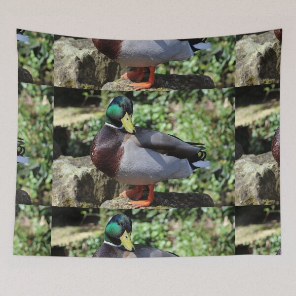 Item preview, Male Mallard Duck designed and sold by pinkal.