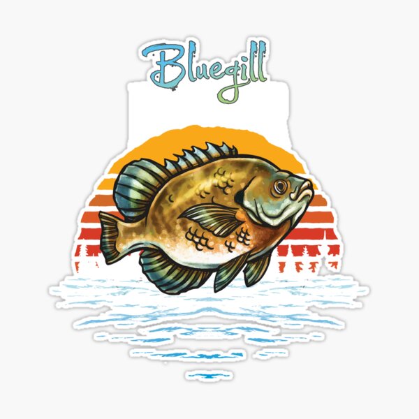 Vintage Bluegill: Funny Fishing Fisherman | Sticker