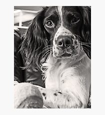 Me and My Tennis Ball Photographic Print