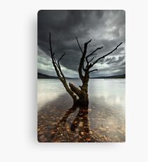 Loch Rannoch Tree Canvas Print