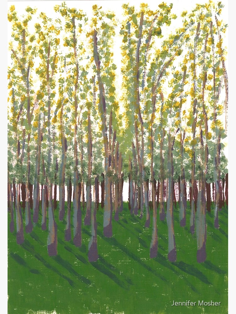 Birch Grove by JenMosh