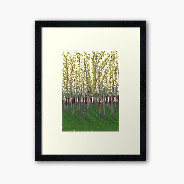 Birch Grove Framed Art Print