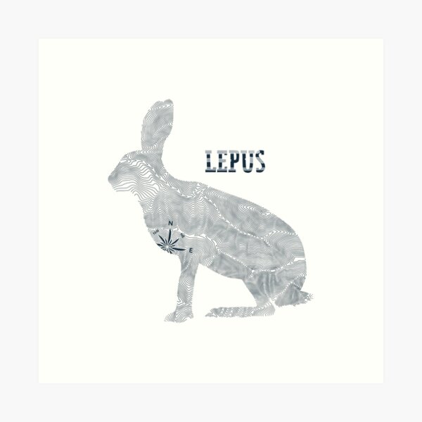 Topo Map Sketch of a Hare.  Art Print