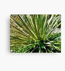 Greenery Canvas Print