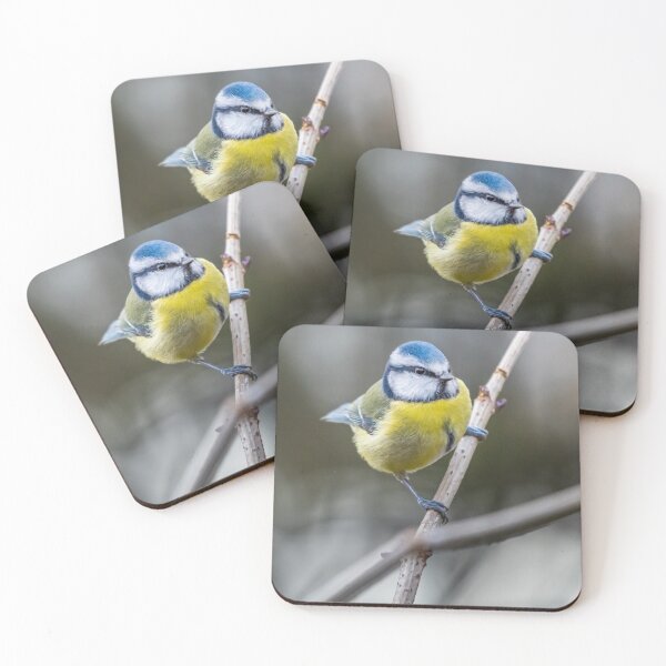 Item preview, Blue Tit (Cyanistes caeruleus)  designed and sold by Logopad.