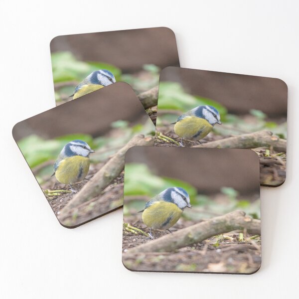 Item preview, Blue Tit (Cyanistes caeruleus)  designed and sold by Logopad.