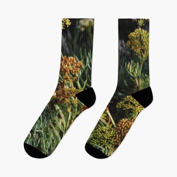 Item preview, flowering succulent wild plants flowers designed and sold by Anna Lemos.