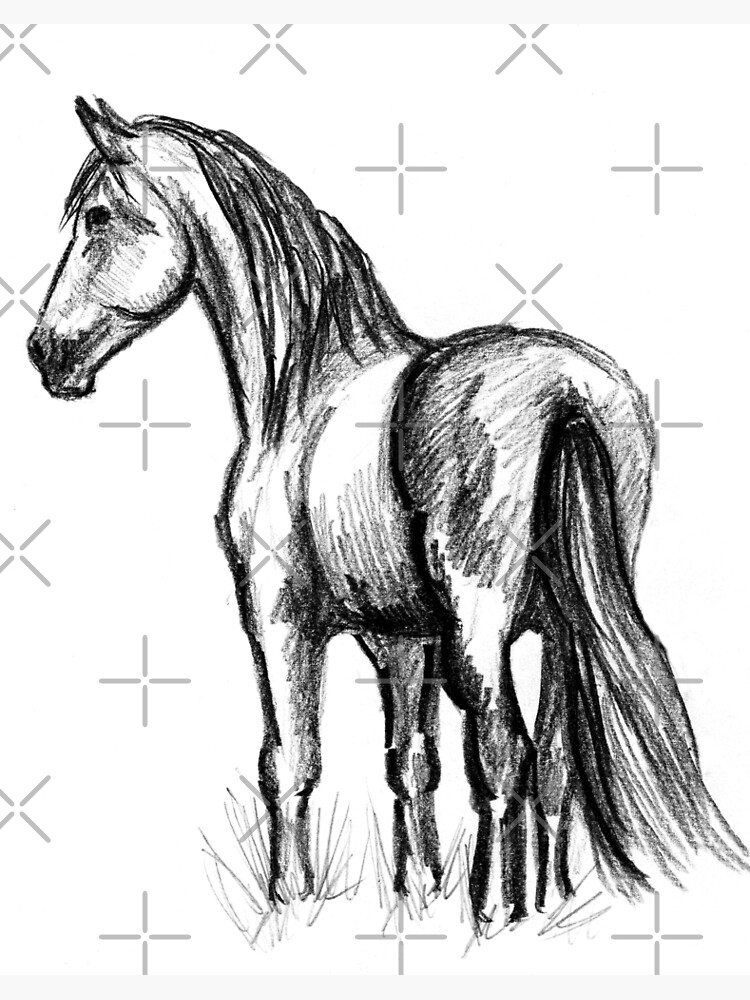 Horse pattern drawing hi-res stock photography and images - Alamy