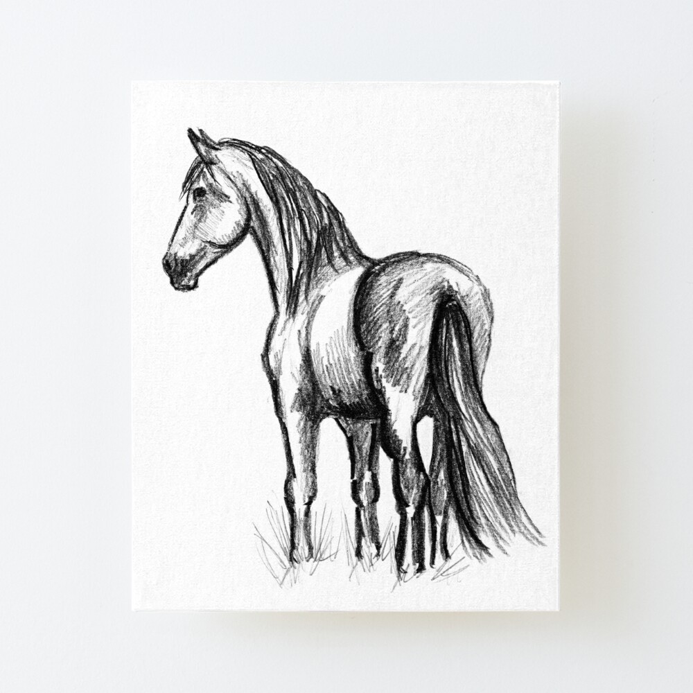 Original Horse Drawings For Sale | Saatchi Art