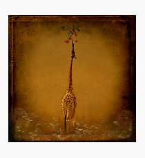 The Cherry Picker Photographic Print