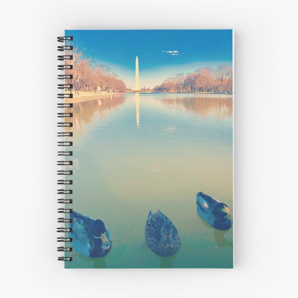 Item preview, Ducks in Reflecting Pool - Washington DC designed and sold by aimeepalumbo1.