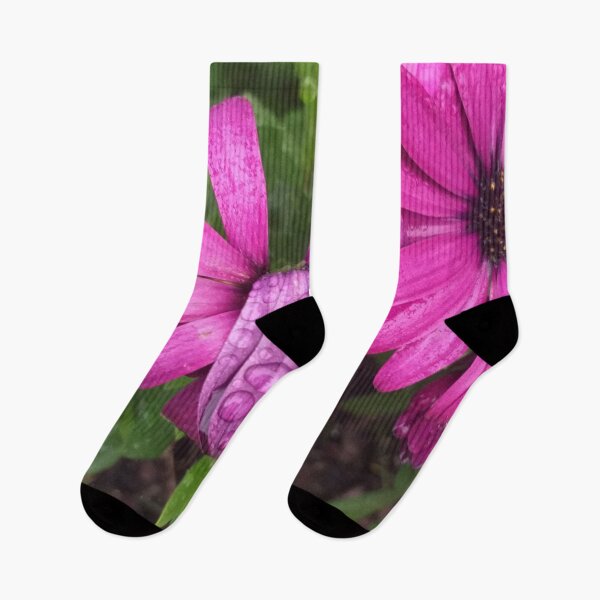 Item preview, Pink African Daisy flowers after the rain designed and sold by Anna Lemos.