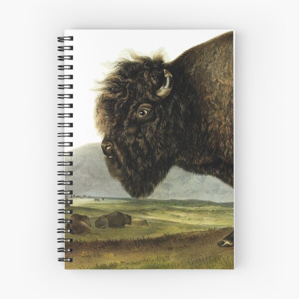 Item preview, American Bison - James Audubon designed and sold by billythekidtees.
