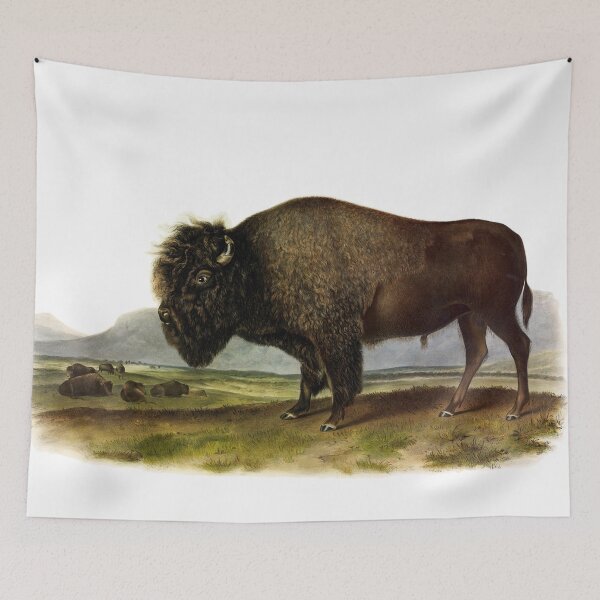 Item preview, American Bison - James Audubon designed and sold by billythekidtees.
