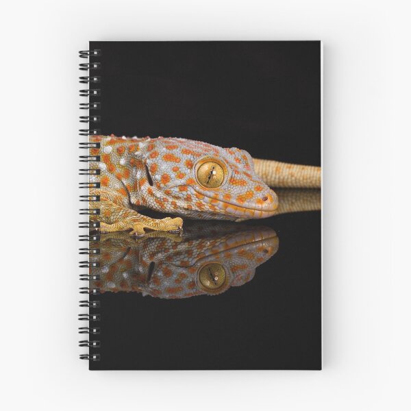 Item preview, Tokay Gecko designed and sold by FXST.