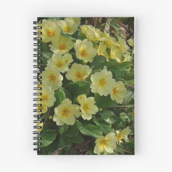 Item preview, Hedgerow Primroses  (Primula vulgaris) designed and sold by lezvee.
