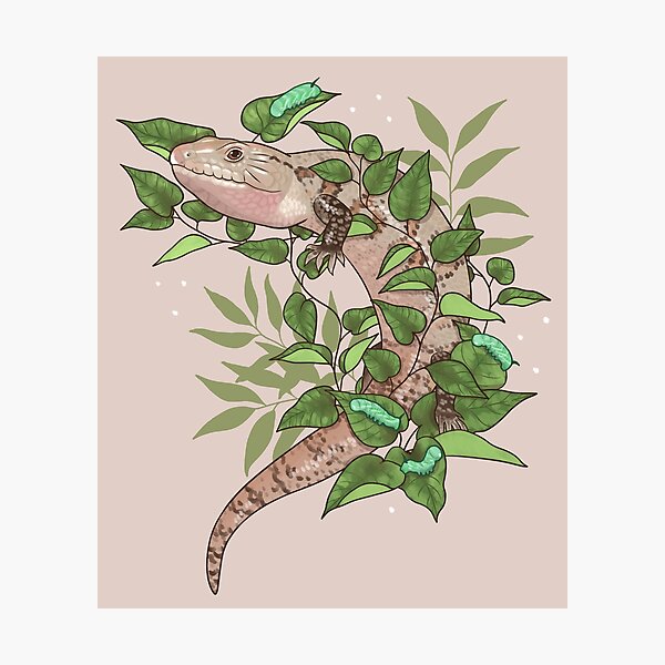 Item preview, Blue Tongue Skink with Vines and Hornworms designed and sold by Paige Penrose.