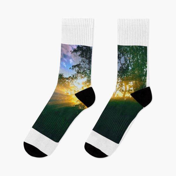 Item preview, Sunrise in the woods designed and sold by dombhai.