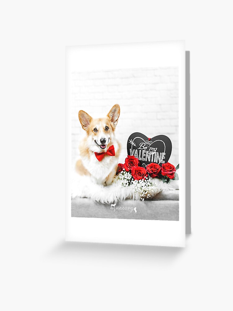 Epic Greeting Cards Single Pembroke Welsh Corgi on top of Louis Vuitton  Luggage Valentines Day Card